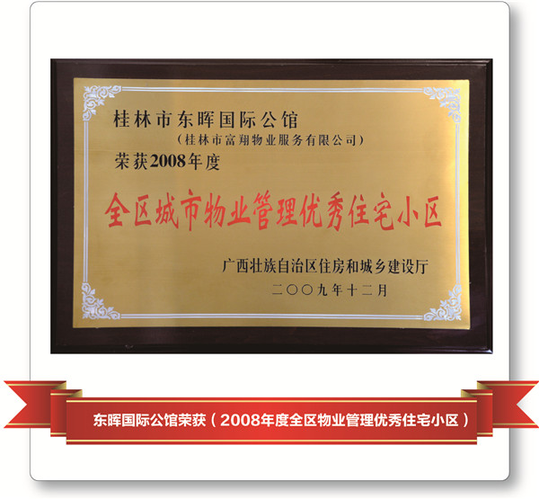 2008年東暉國際-區優